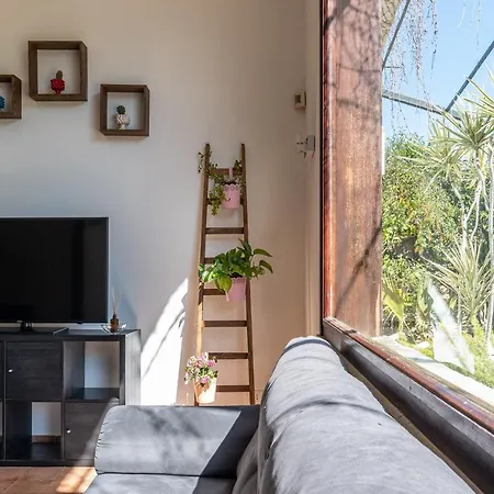 Bed & Breakfast Bouganville 3*